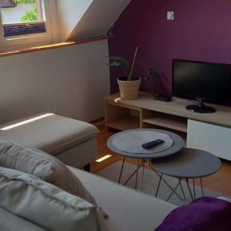 Appartement Domek Pod Sosnami Pokoje 2-3 Osobowe à Mielno  Extérieur photo